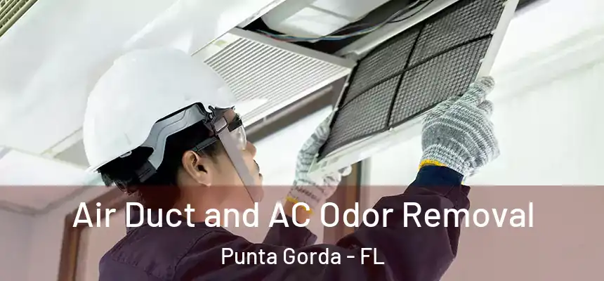 Air Duct and AC Odor Removal Punta Gorda - FL