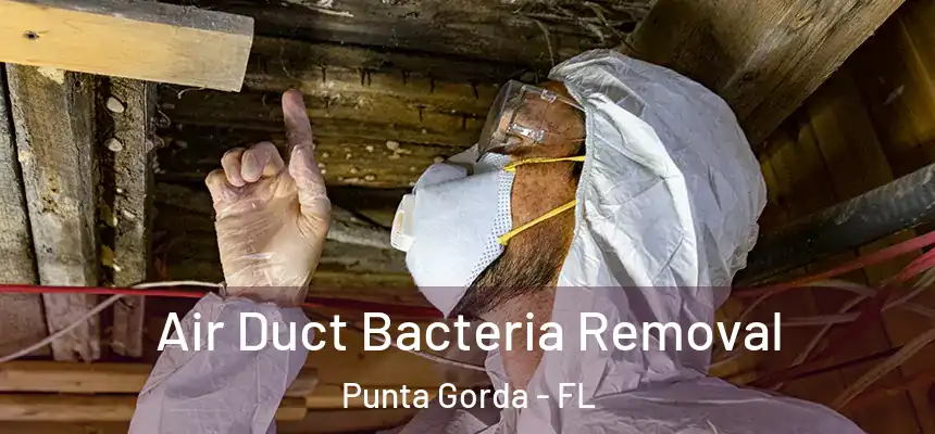 Air Duct Bacteria Removal Punta Gorda - FL