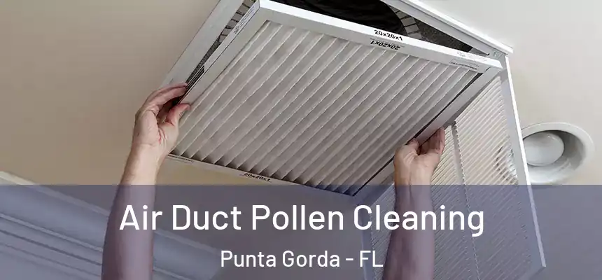 Air Duct Pollen Cleaning Punta Gorda - FL