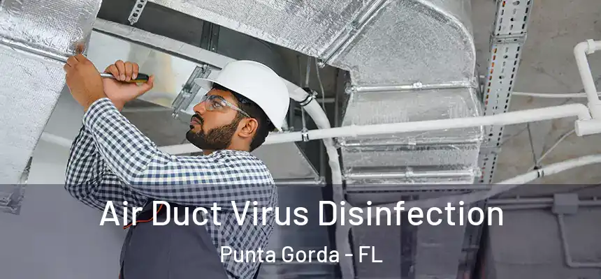 Air Duct Virus Disinfection Punta Gorda - FL