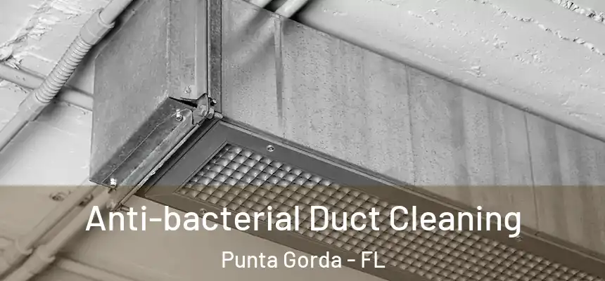 Anti-bacterial Duct Cleaning Punta Gorda - FL