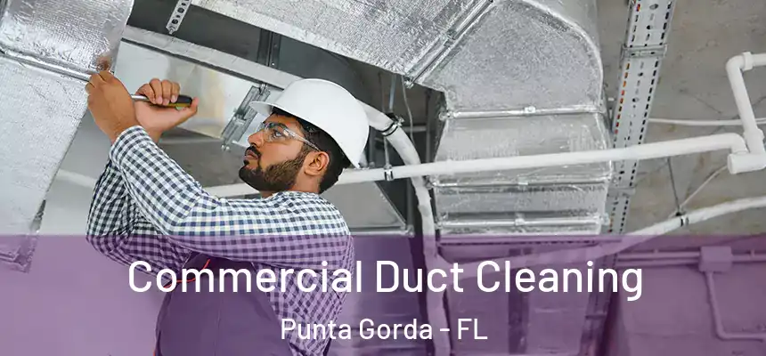 Commercial Duct Cleaning Punta Gorda - FL
