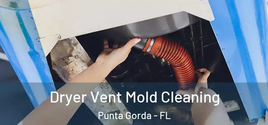 Dryer Vent Mold Cleaning Punta Gorda - FL