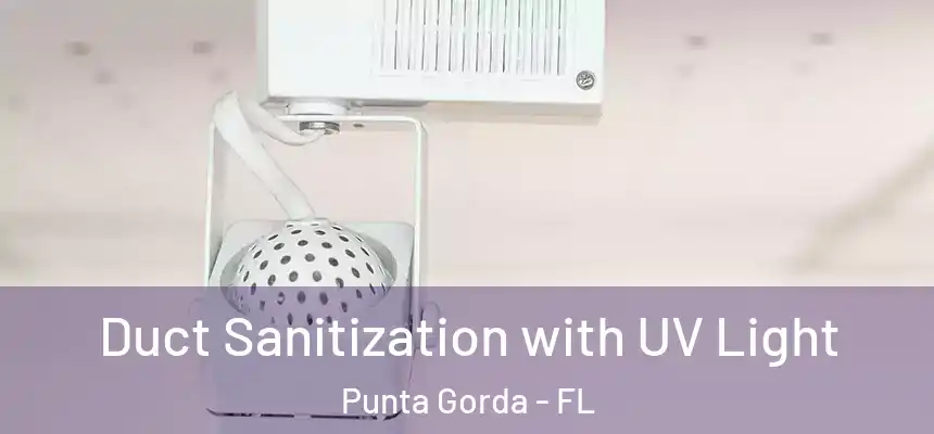 Duct Sanitization with UV Light Punta Gorda - FL