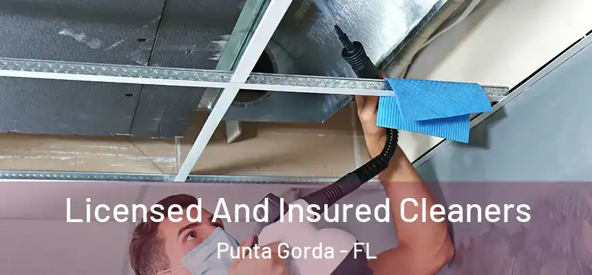 Licensed And Insured Cleaners Punta Gorda - FL