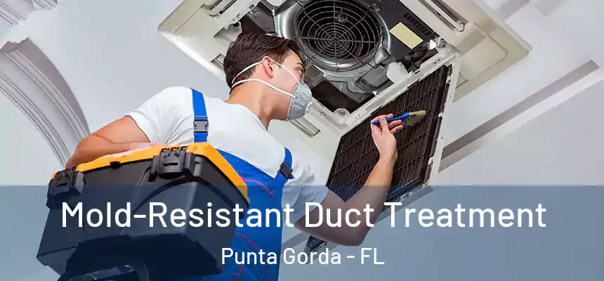 Mold-Resistant Duct Treatment Punta Gorda - FL