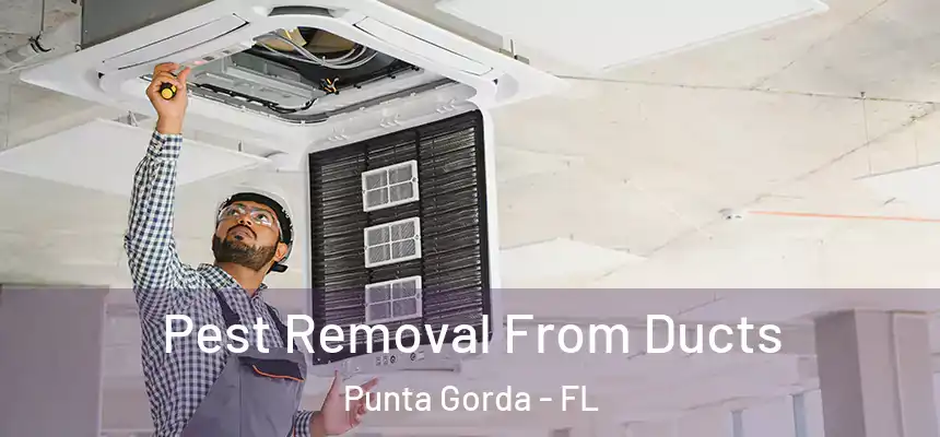 Pest Removal From Ducts Punta Gorda - FL
