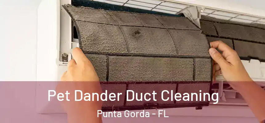 Pet Dander Duct Cleaning Punta Gorda - FL