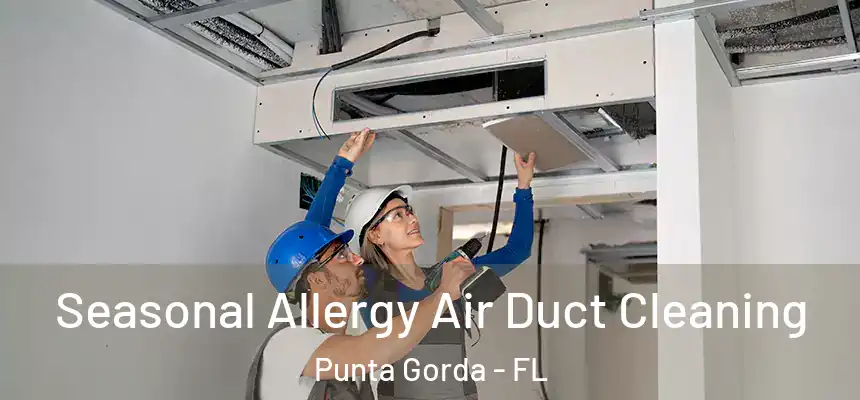 Seasonal Allergy Air Duct Cleaning Punta Gorda - FL