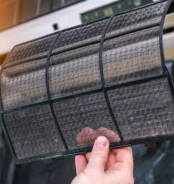 About Pet Dander Duct Cleaning in Punta Gorda, FL