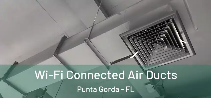 Wi-Fi Connected Air Ducts Punta Gorda - FL